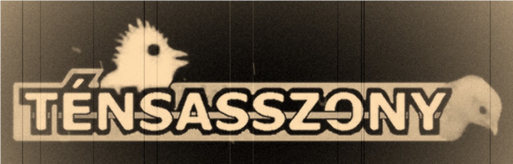 Tnsasszony Music Factory     -=Gnc=-